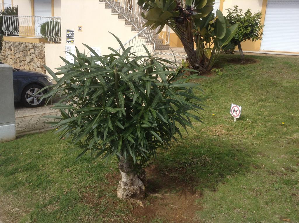 Votre Appartement A ปอร์ติเมา ภายนอก รูปภาพ